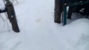 Иж-38с с оптикой с AliExpress 4х20