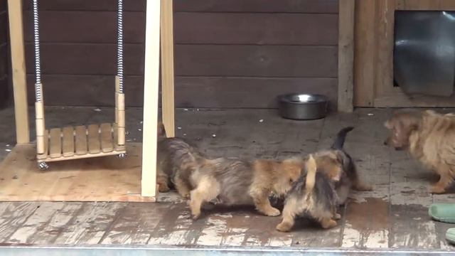 Norfolk 13/05/15 video 4 смотреть онлайн