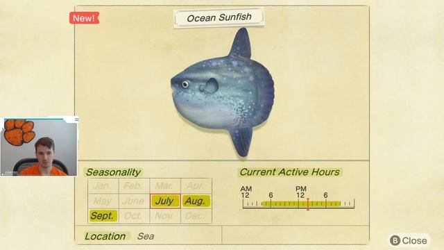 How to Catch an Ocean Sunfish | Ocean Sunfish ACNH | Ocean Sunfish Animal Crossing New Horizons смотреть онлайн