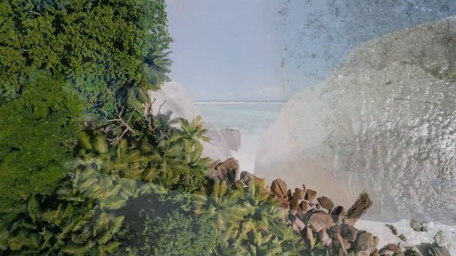 Dan Gibson’s Solitudes - Boundless Beauty | In the Midst of Angels смотреть онлайн