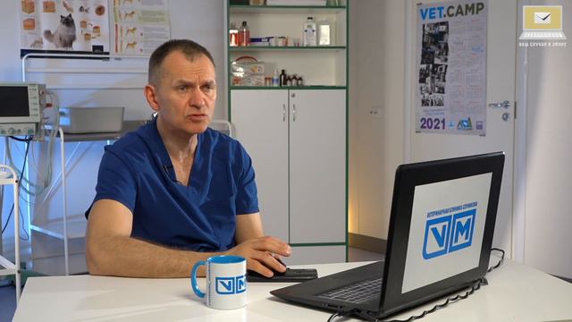 Случай в эфире. Можно получить консультацию по вашему питомцу смотреть онлайн