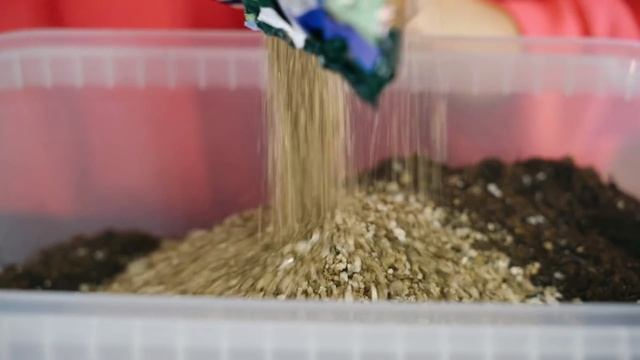 Выращивание арбуза зимой легко и просто | Нетипичный огород смотреть онлайн