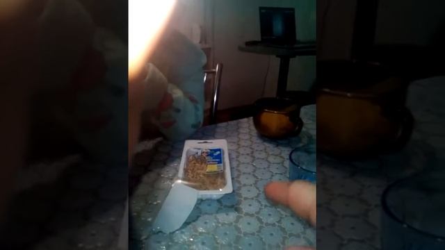 Достали из микроволновки кекс.Думою,что круто смотреть онлайн