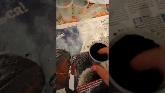 Хлорофитум пересадка, укоренение смотреть онлайн