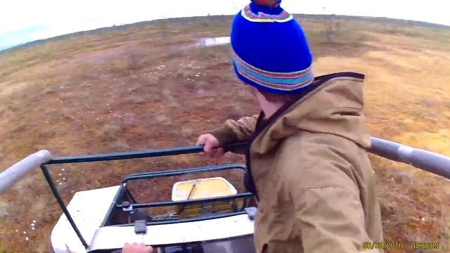 вездеход  лайт по болоту