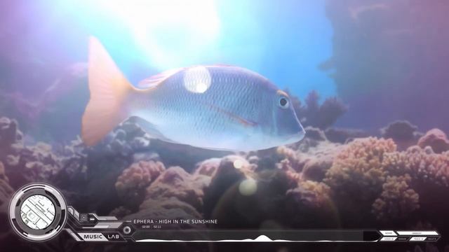 Deep Sleep Music — Ocean Waves, Fall Asleep Fast, Relaxing Music, Sleeping Music.mp4