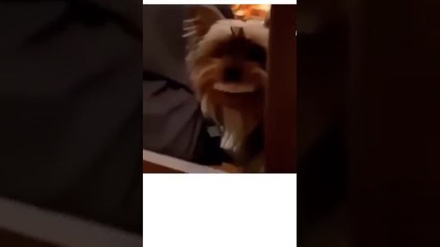 бывает даже и такое выпадают имплатанты прикол смотреть онлайн