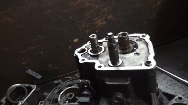 Уборка в гармонии с природой