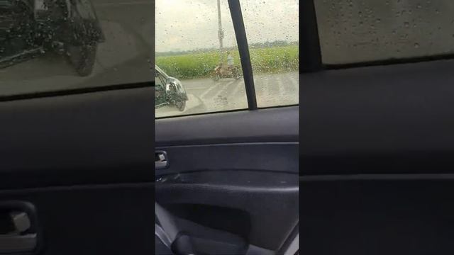 ( xe đã bán ) Chào bán Kia Carens 2010 AT 2.0 bản full смотреть онлайн