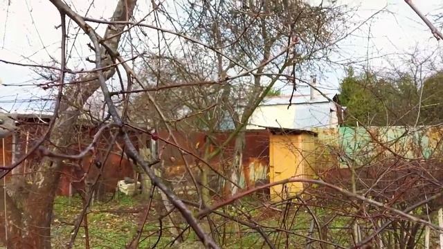 ГОТОВИМ ВИШНЮ К ЗИМЕ смотреть онлайн