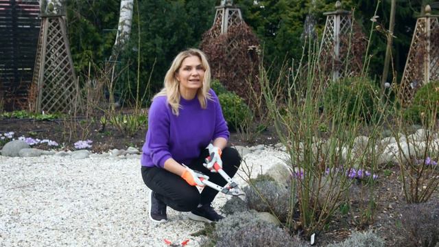 8 RULES I follow when I prune roses. This gives me a LOT of flowers and healthy plants! смотреть онлайн