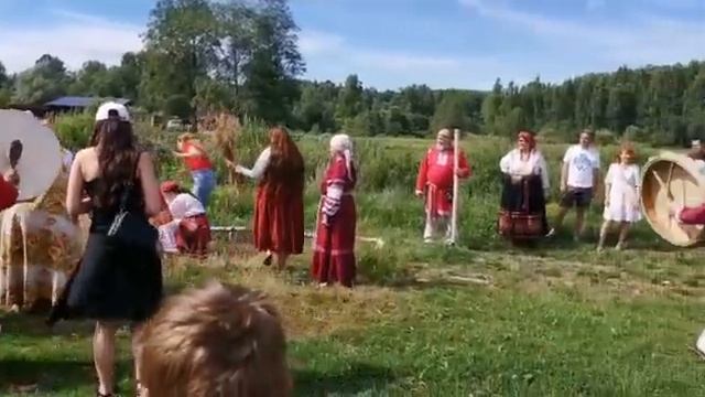 Спожинки на Красном лугу ! смотреть онлайн