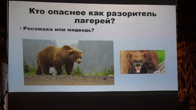 Звери вокруг нас - опасные и неопасные животные средней полосы России. Часть 2 смотреть онлайн