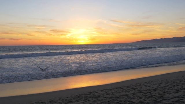GH4 - Untouched Footage - Handheld - Sunset Ocean - Venice Beach - 4k смотреть онлайн