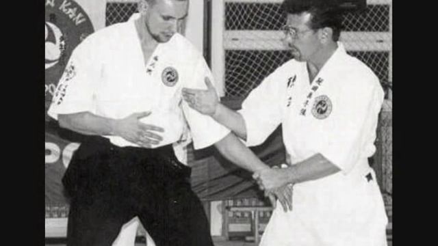 Okinawa Te... Ryukyu Kempo Karate... Kazoku Kenpo Karate