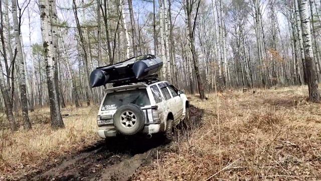 TERRANO REGULUS JRR50