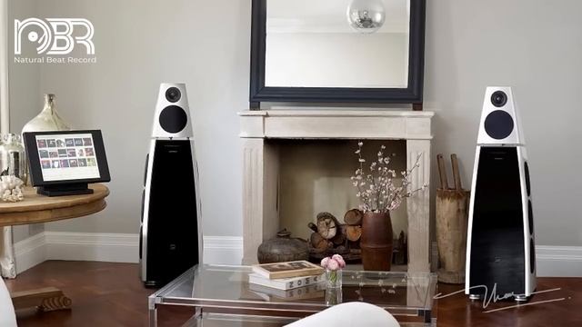 Hi-Res Audiophile Test Speaker - Best Voices & Dynamic Sound - Audiophile NBR Music