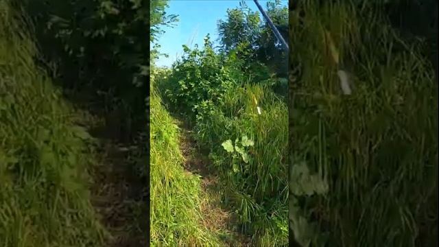 Размер карася сегодня просто шикарный! смотреть онлайн