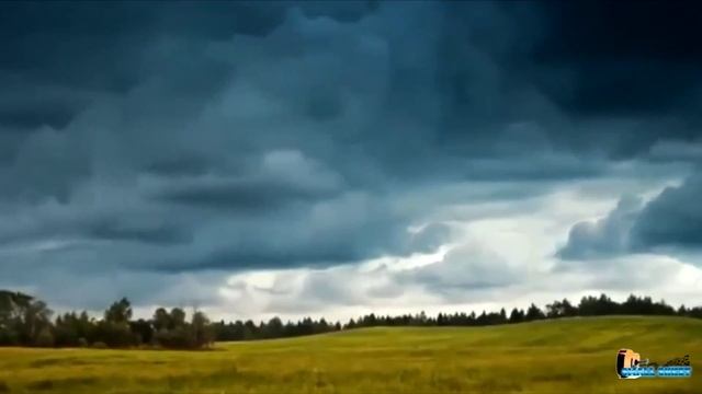 Денис Майданов Флаг государства смотреть онлайн