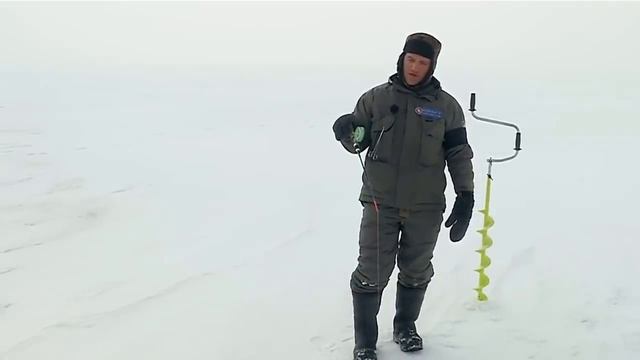 Рыба и Друзья