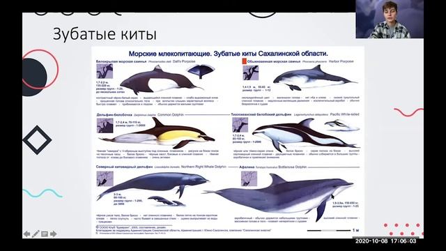 Читаю лекцию по био 