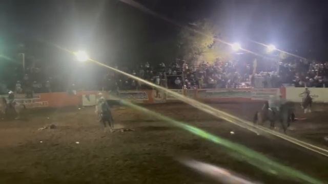 Toros santa cruz de la soledad 3/24/24 смотреть онлайн