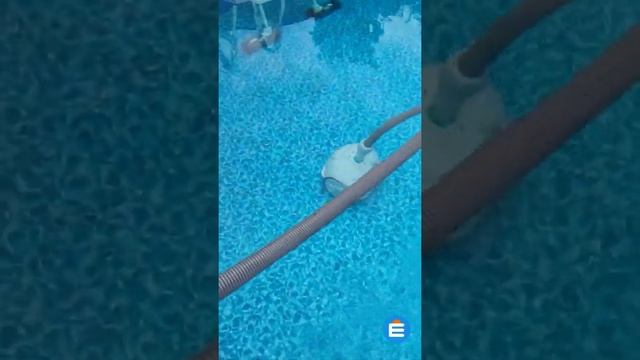 INTEX 28007E լողավազանի փոշեկուլ - EasyMarket.am