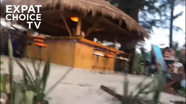 Why Is Beach Pig, Bangtao Beach, Phuket Getting Rave Reviews?