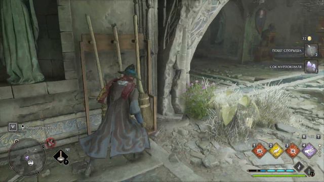 Hogwarts Legacy.Прохождение [24]. Птица в руках. смотреть онлайн