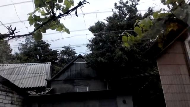 Затонировался