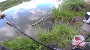 РЫБАЛКА НА РЕКЕ ДОН ВОРОНЕЖСКОЙ ОБЛАСТИ. МАЙ 2020. ФИДЕР НА ДОНУ.Природа Воронежской области.