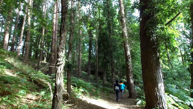 Liffey | Liffey Walk BallymoreEustace | Ballymore Eustace смотреть онлайн