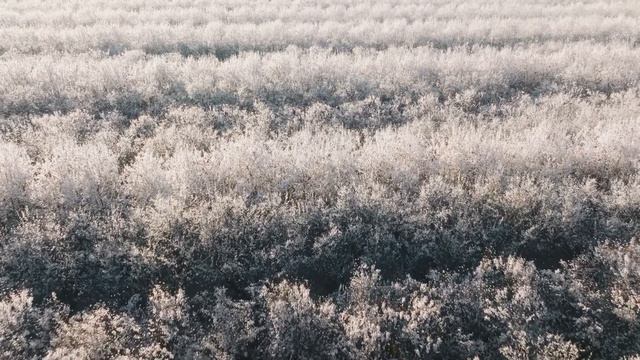 Gentle healing music for health and calming the nervous system, relaxation, sleeping, meditation смотреть онлайн