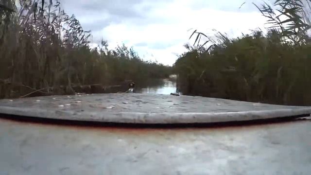 Водная покатушка, ветер 5 баллов. Обь-3. Evinrude 20. Херсон. смотреть онлайн