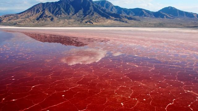 10 Самых опасных мест в мире смотреть онлайн