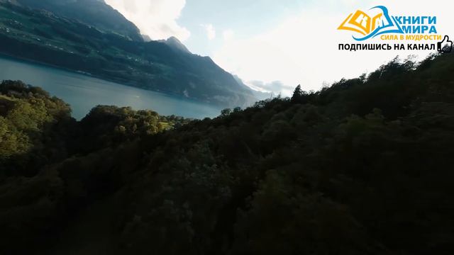 Открой Двери Новых Возможностей! 10 Секретов Восприятия При Помощи Медитации! / Nikosho смотреть онлайн