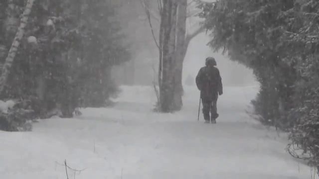 Плач Адама - Татьяна Баскакова смотреть онлайн