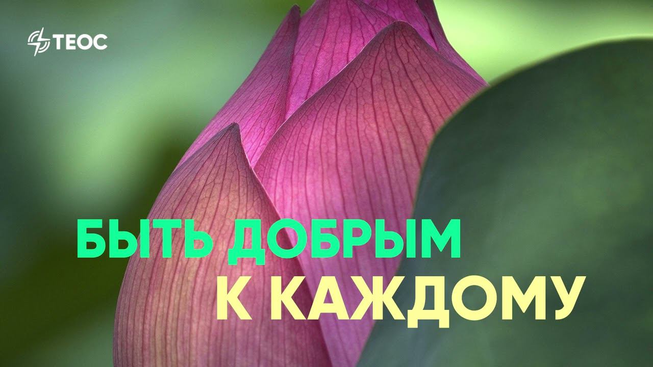 Ты можешь быть добрым к каждому смотреть онлайн