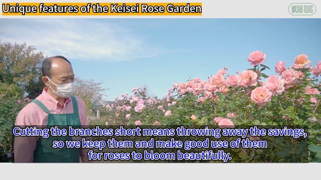 Discover Keisei Rose Garden with Kayuki смотреть онлайн
