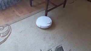 Робот пылесос отзыв реального пользователя