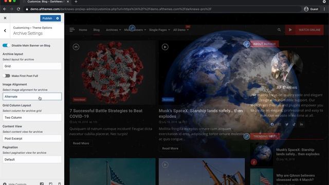DarkNews Pro - Theme Options | The Advanced Dark WordPress Theme смотреть онлайн