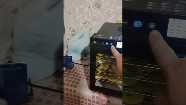 новый помощник смотреть онлайн