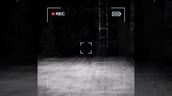 content_warning ужастики атакуют!!!