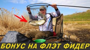 ВОТ ЭТО БОНУС! РЫБАЛКА НА СОСКУ 21 ВЕКА. Ловля карася на Флэт Фидер.