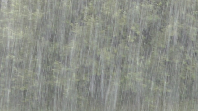 Тропический Ливень И Крупный Град В Санкт-Петербурге смотреть онлайн