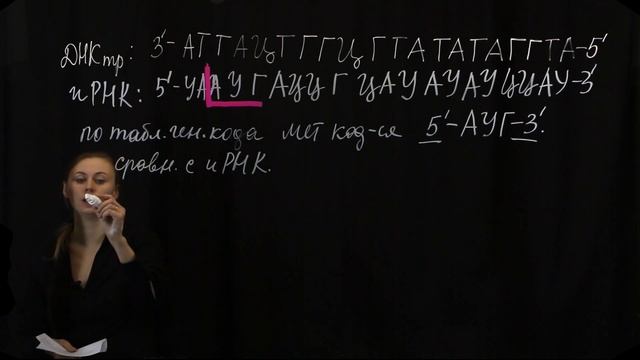Задание 27. Вариант №3. Генетический код. Решаем задачи ЕГЭ Биология 2020. смотреть онлайн