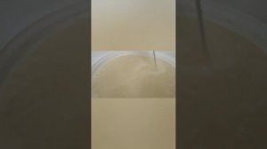 постановка сахарной браги 30 литров на турбодрожжах брагман 48