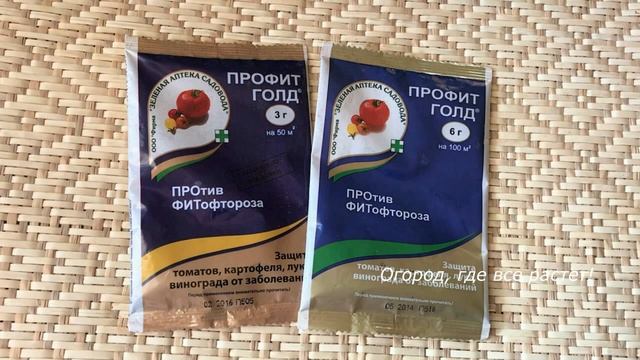 557. Картошка без фитофторы и колорадских жуков