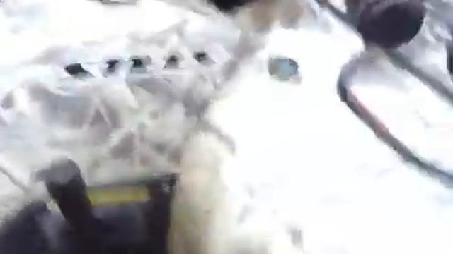 12 обзор квадроцикла стелс от Миши Табуреткина смотреть онлайн