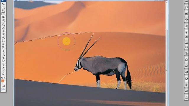 Quick Selection Tool. Инструмент быстрого выделения. Photoshop. смотреть онлайн
